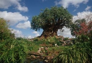 Discovery Island