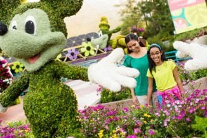 Special Events & Nighttime Entertainment