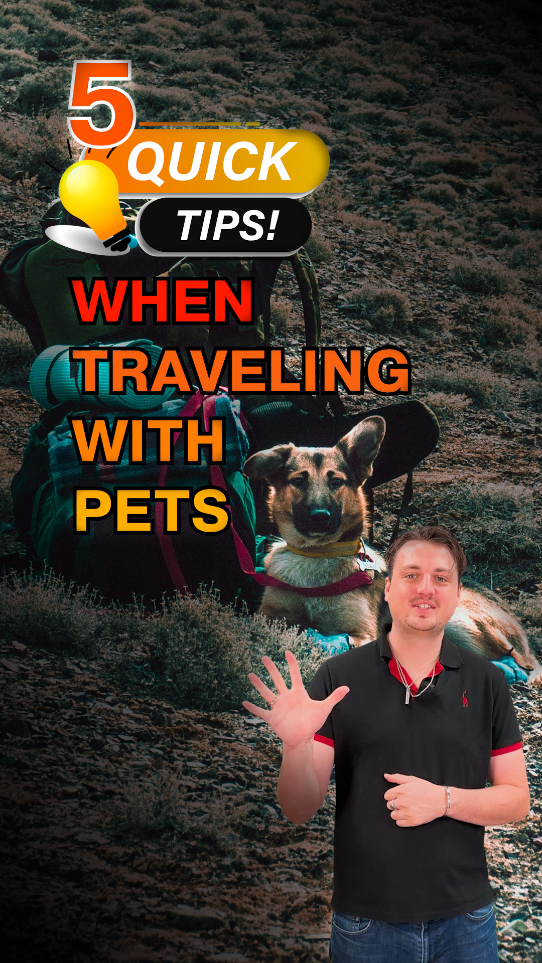 Orlando Rent A Villas video: 5 Quick tips when traveling with pets