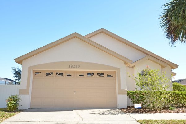 Image of 16150EH on Orange Tree