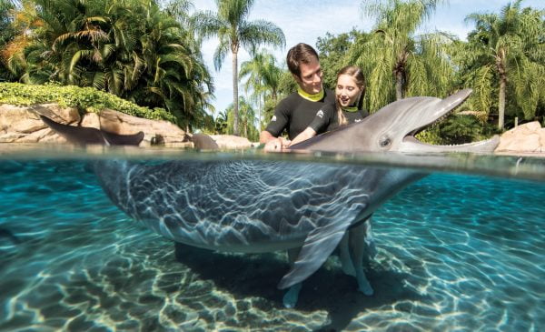 Father and Daughter interacting with Dolphin at Discovery Cove