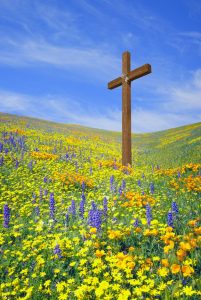 Image of cross in field of flowers