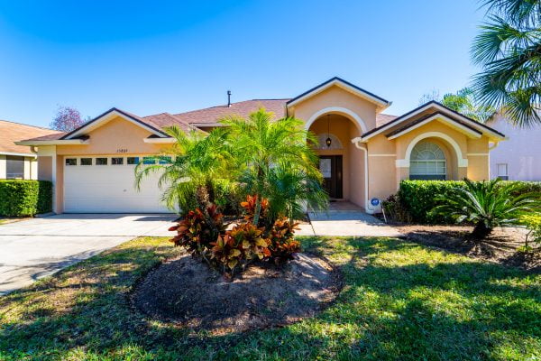 Image of 15809HH Orange Tree