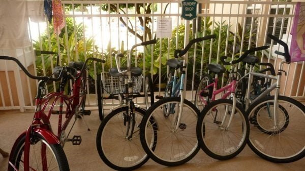 Windsor Palms bike rental