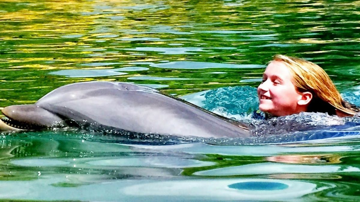 swimming with a dolphin