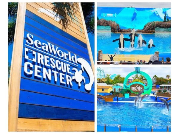 Sea World Rescue Center