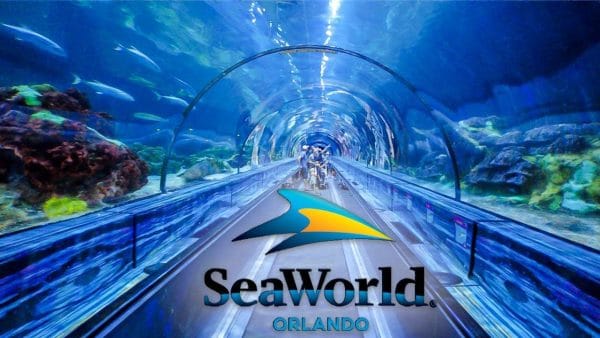 Sea World, Orlando.