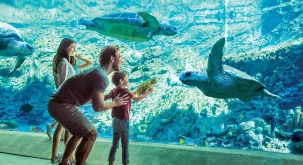 Father with kids in front of aquarium.