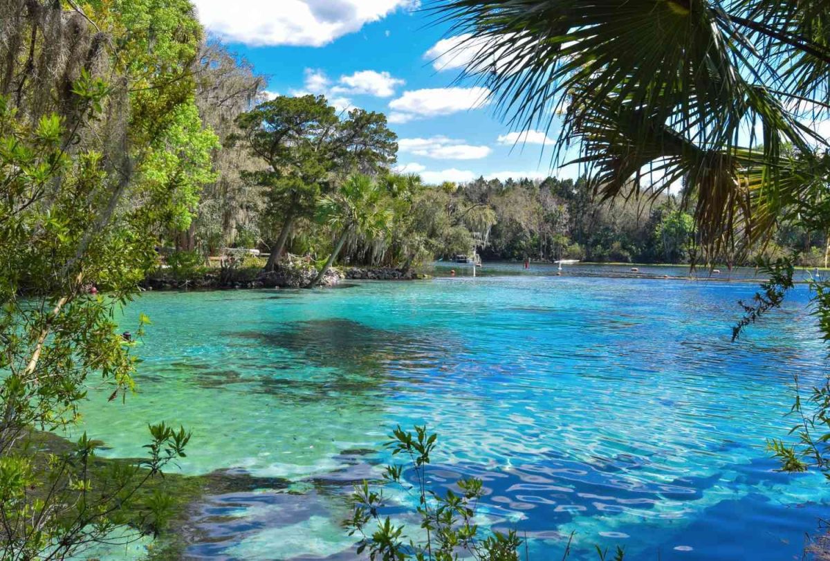 Image of one of Florida natural Springs