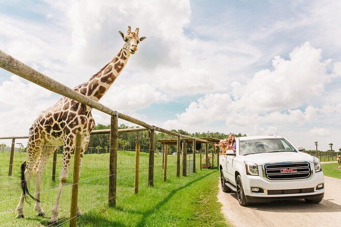 Drive through safari in Florida. 