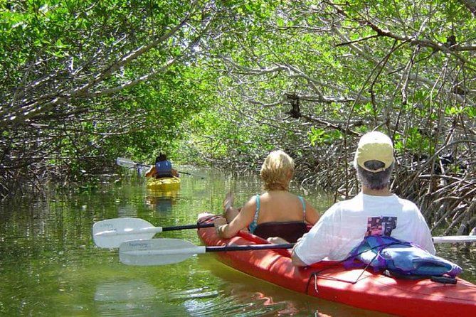 Kayaking tour