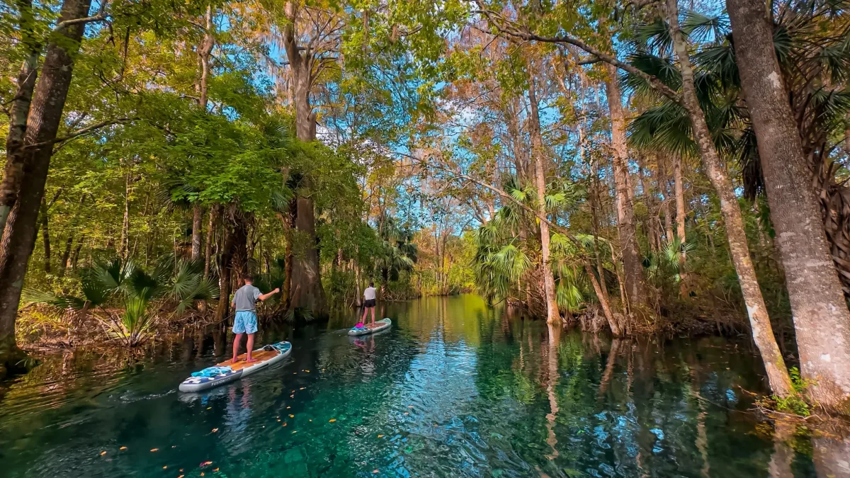 Paddle boarding in Florida parks
