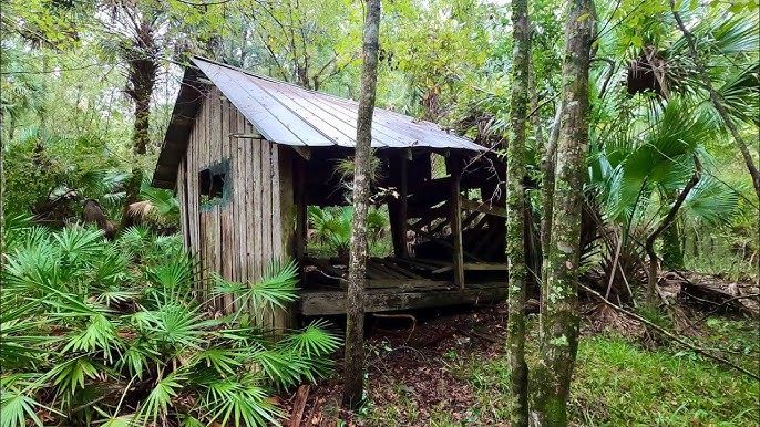Old sawmill ruins