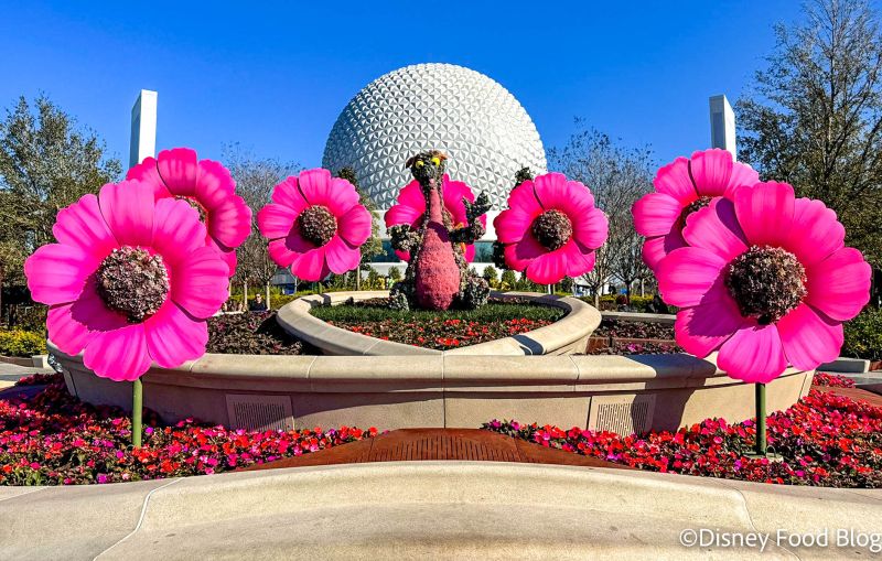 Epcot flower and Garden festival