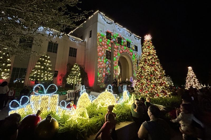 Winter Garden decorated for Christmas 