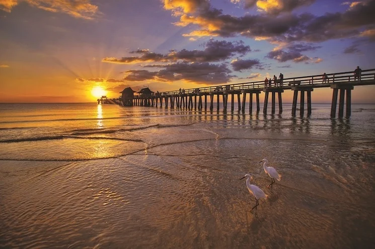Sunset over Florida beach with a long pier extending into the ocean and birds walking along the shoreline. 