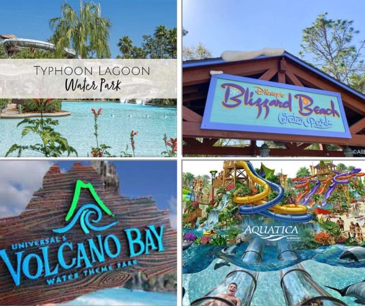 Collage of different water parks in Central Florida. 