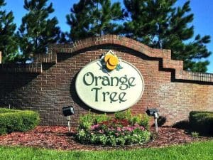 Orange Tree